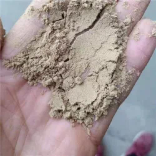 Wholesale Fish Animal Feed Additive Probiotic Licheniformis Bacillus Subtilis for Shrimp