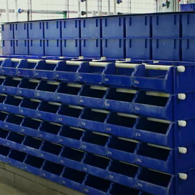 Mud Crabs Fattening House Vertical Crab House