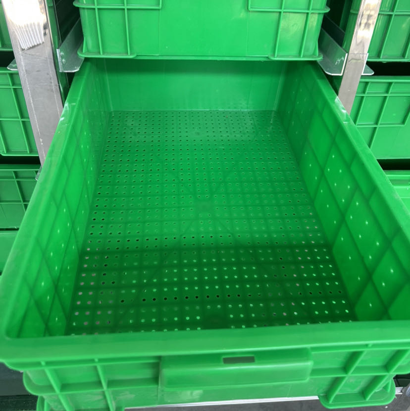 Premium Organic Sprout Growers for Fresh Microgreens Cultivation High Yield of Various Sprouts Growers