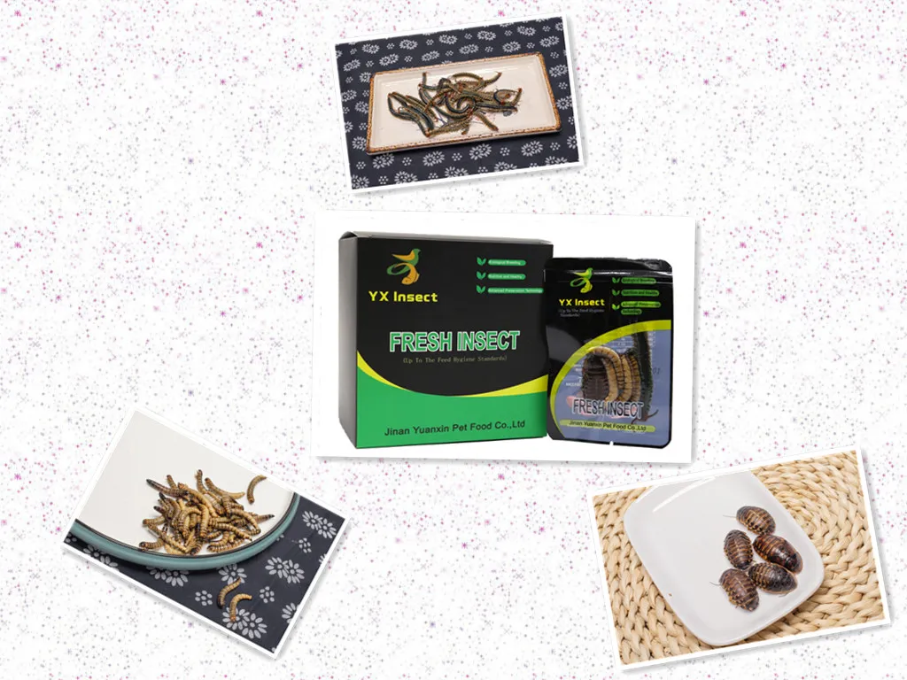 Scientific Collocation