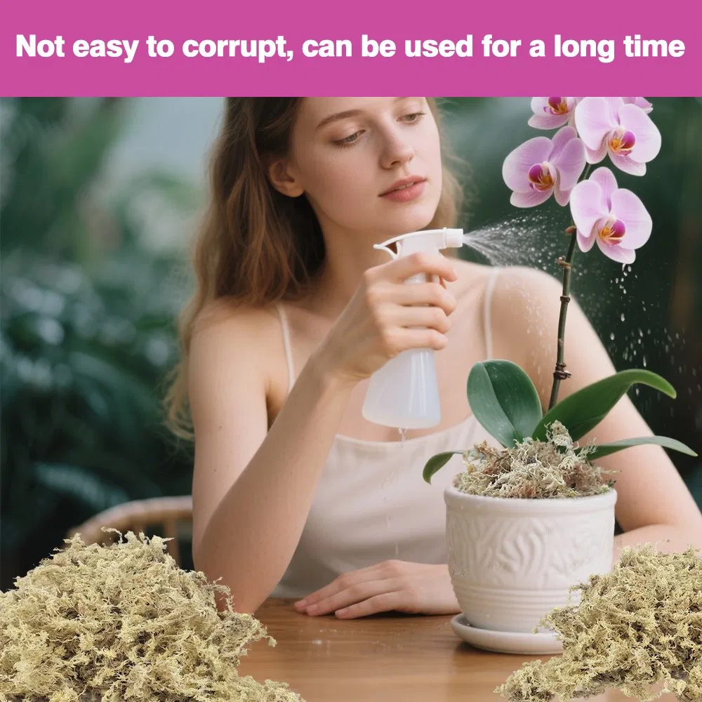 Sphagnum Moss Quality