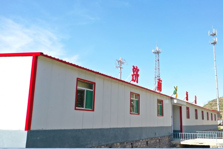 Fresh Dubia Roachs for Aquarium Fish Feed