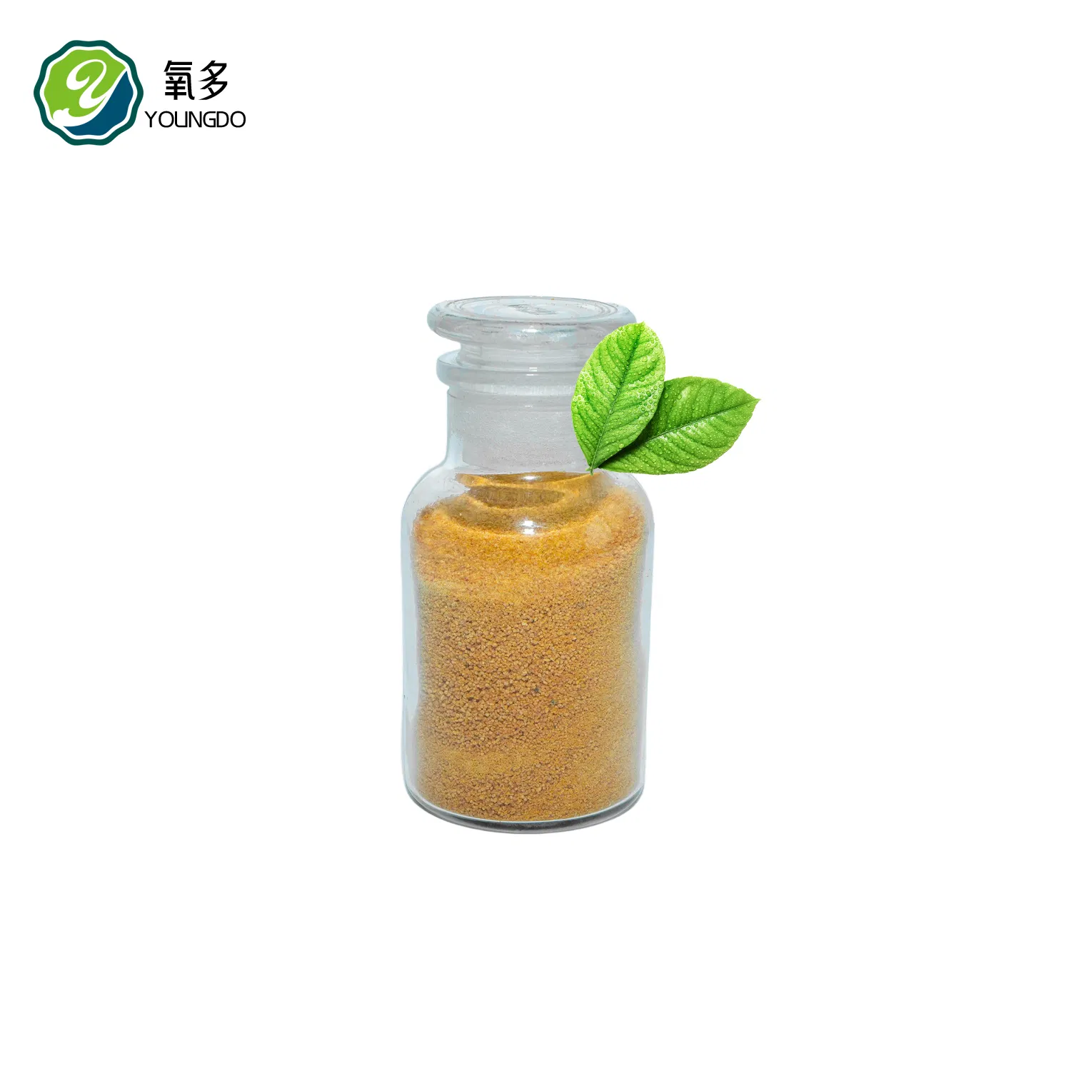 Corn Gluten Meal for Fish and Shrimp Feed