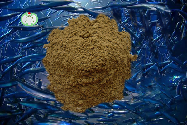 Protein Powder Fish Meal Animal Feed (65% 72%)