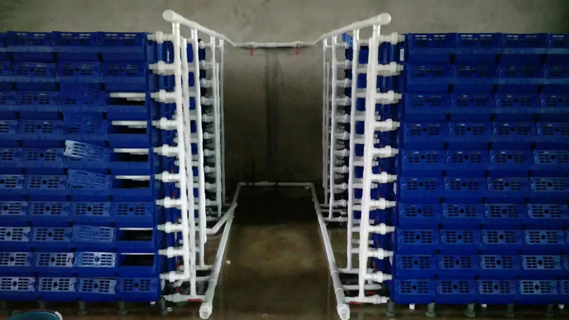 New Trend Aquaculture Indoor Crab Farm Nuclear-Free Crab Fattening