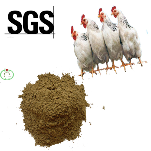 72% Protein Fishmeal Animal Feed Hot Sale
