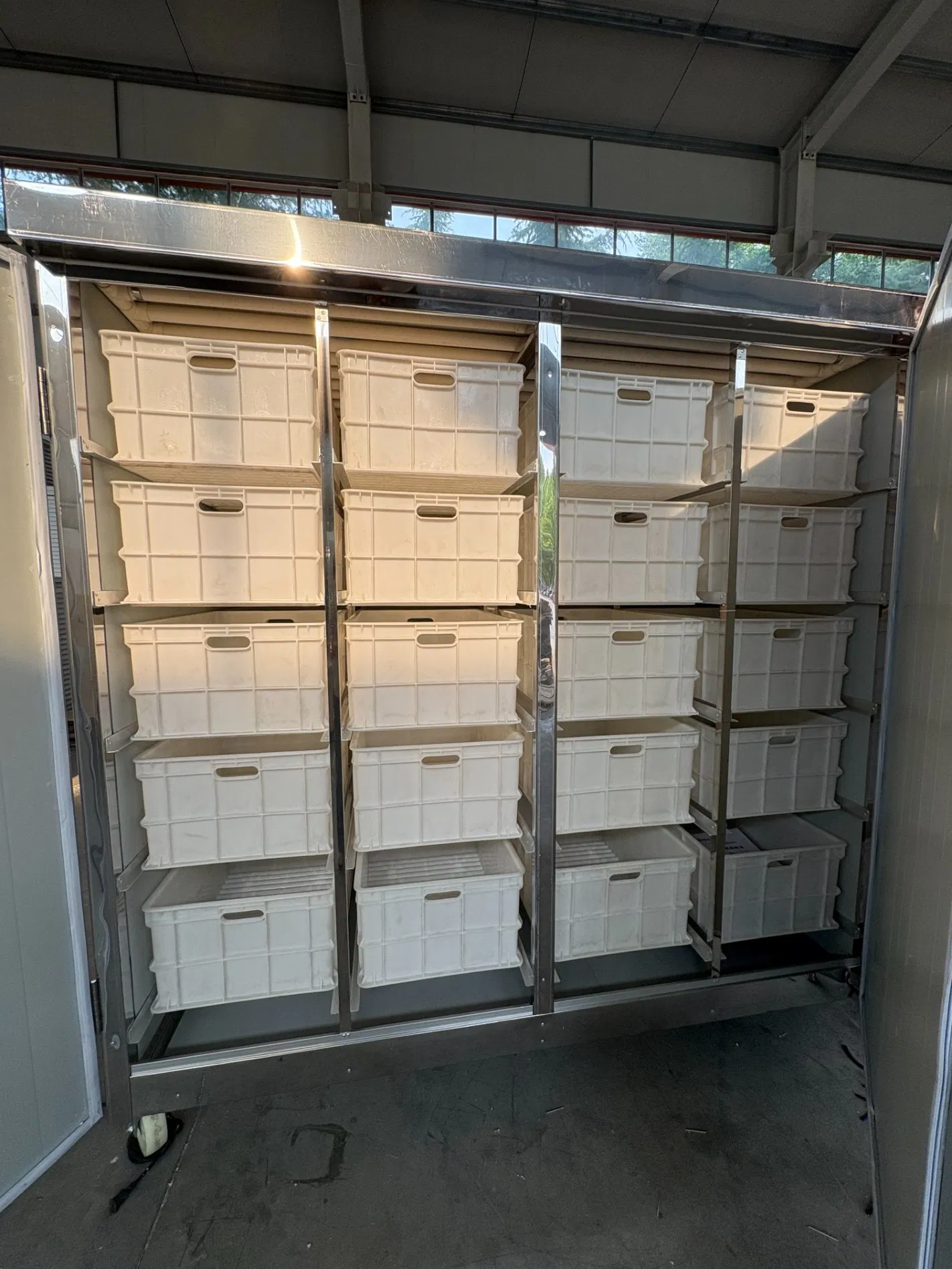 Fully Automatic Bean Sprout Growers with a High Yield of 600 Kg/Day