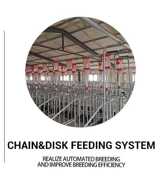 Truck Equipment Structure 1