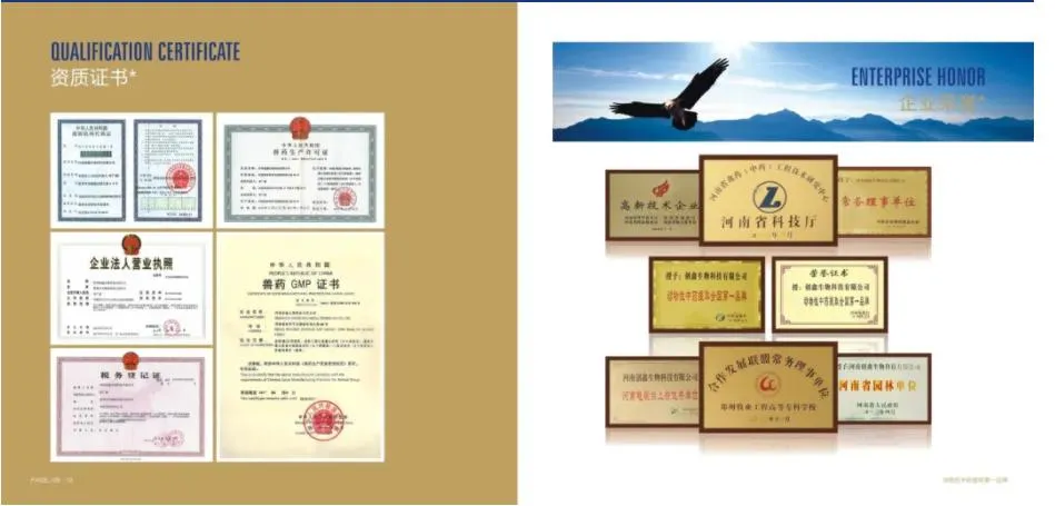 Floating Fish Feed 1