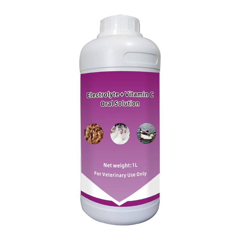 Probiotics Oral Solution Improve Intestinal Environment and Prevent Diseases