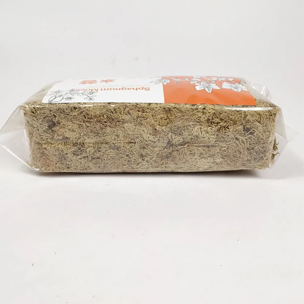 Sphagnum Moss Potted