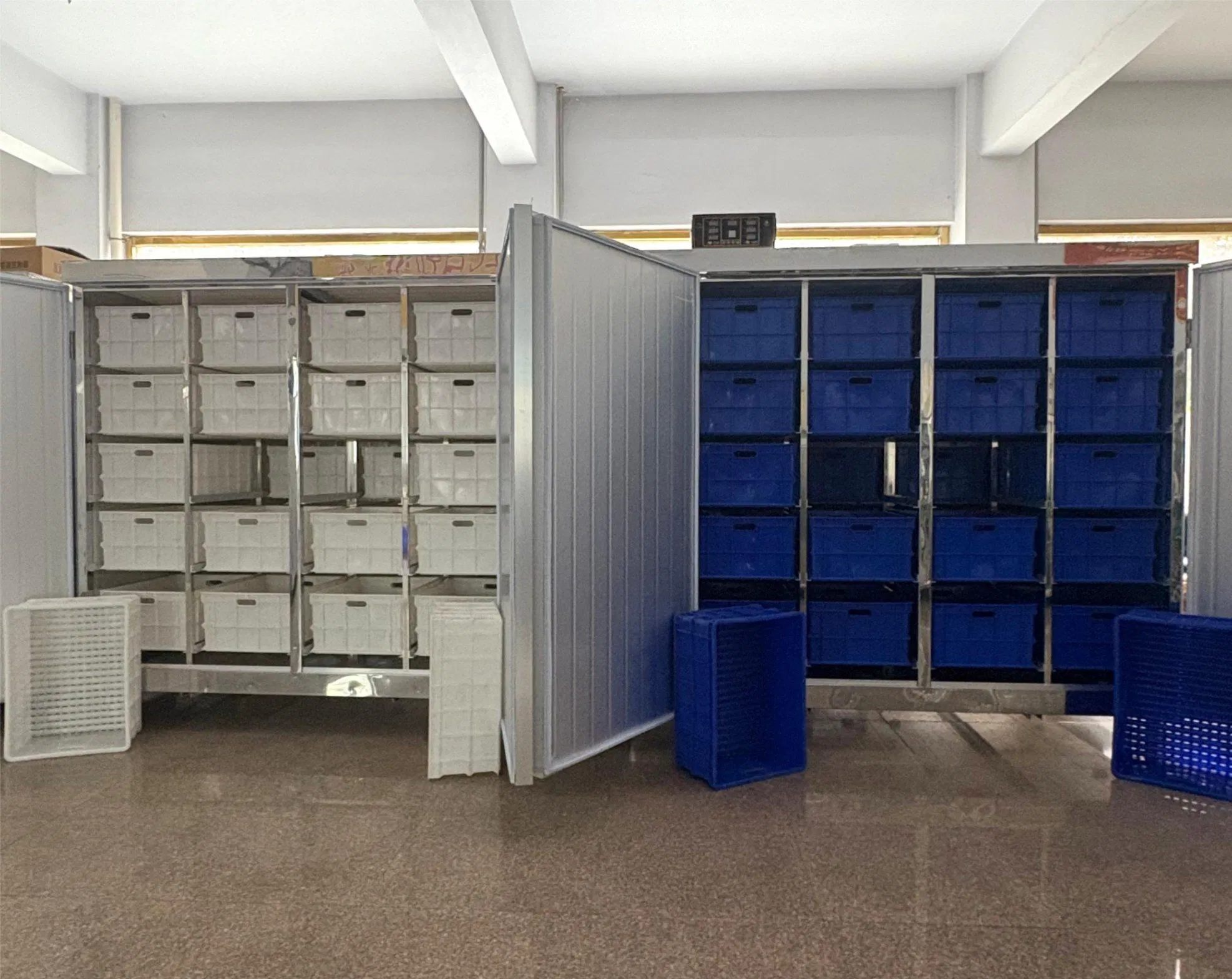 Fully Automatic Bean Sprout Grower for Fast and Healthy Growth