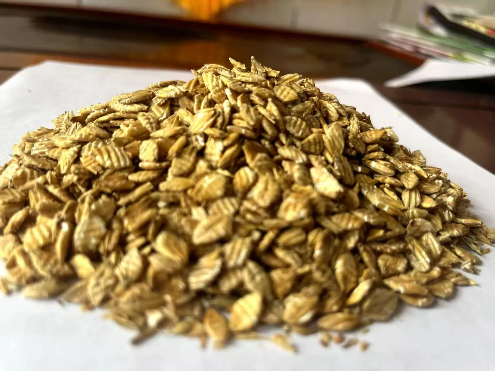 Low Cost Healthy and Nutritious Horse Feed for Racehorse Horse Feed