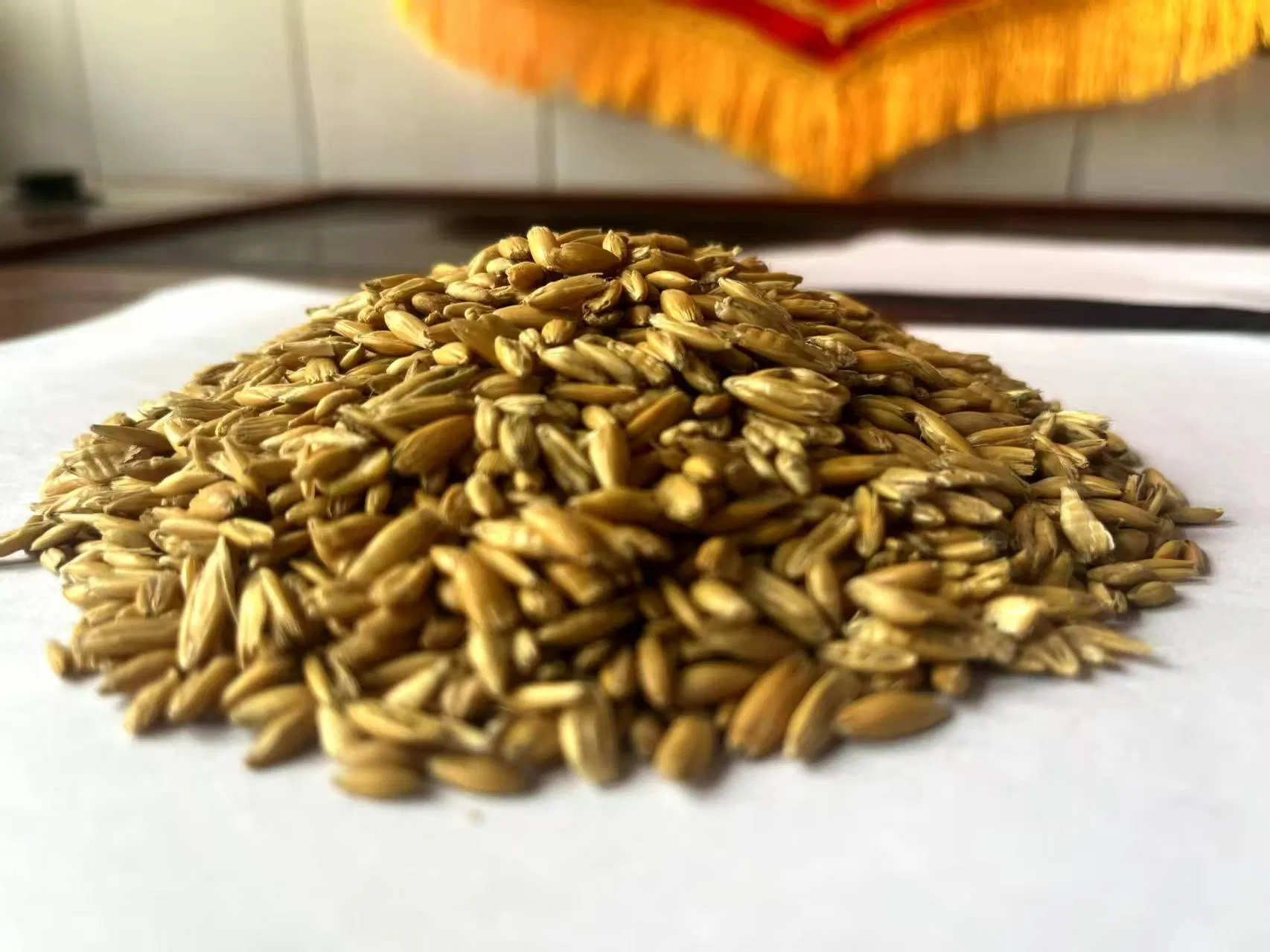 Low Cost Healthy and Nutritious Horse Feed for Racehorse Horse Feed