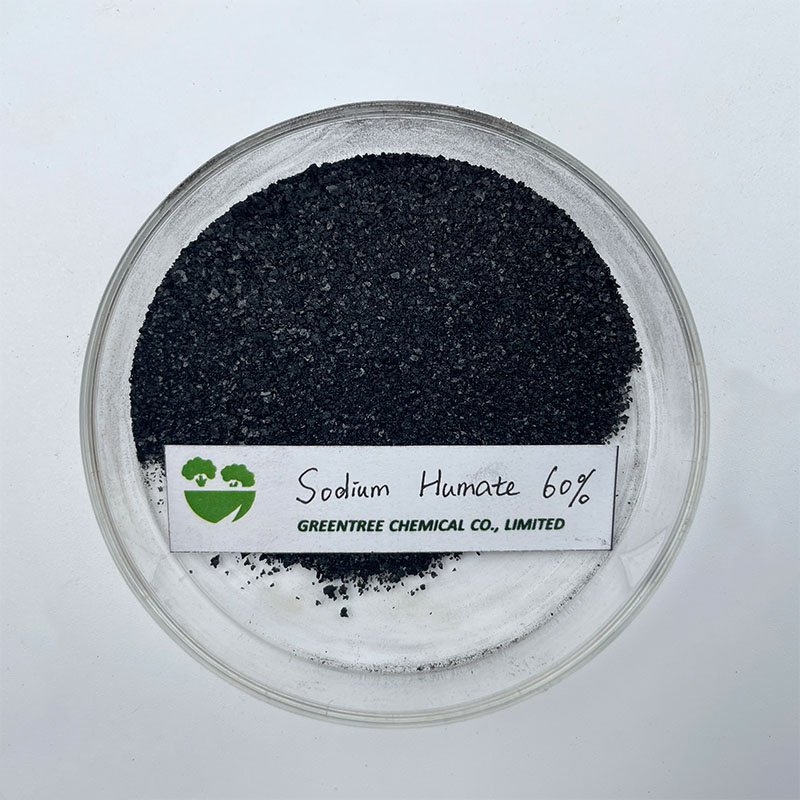 Agriculture Fertilizer Factory High Soluble Feed Additive Humic Acid 60% Sodium Humate China Manufacturers