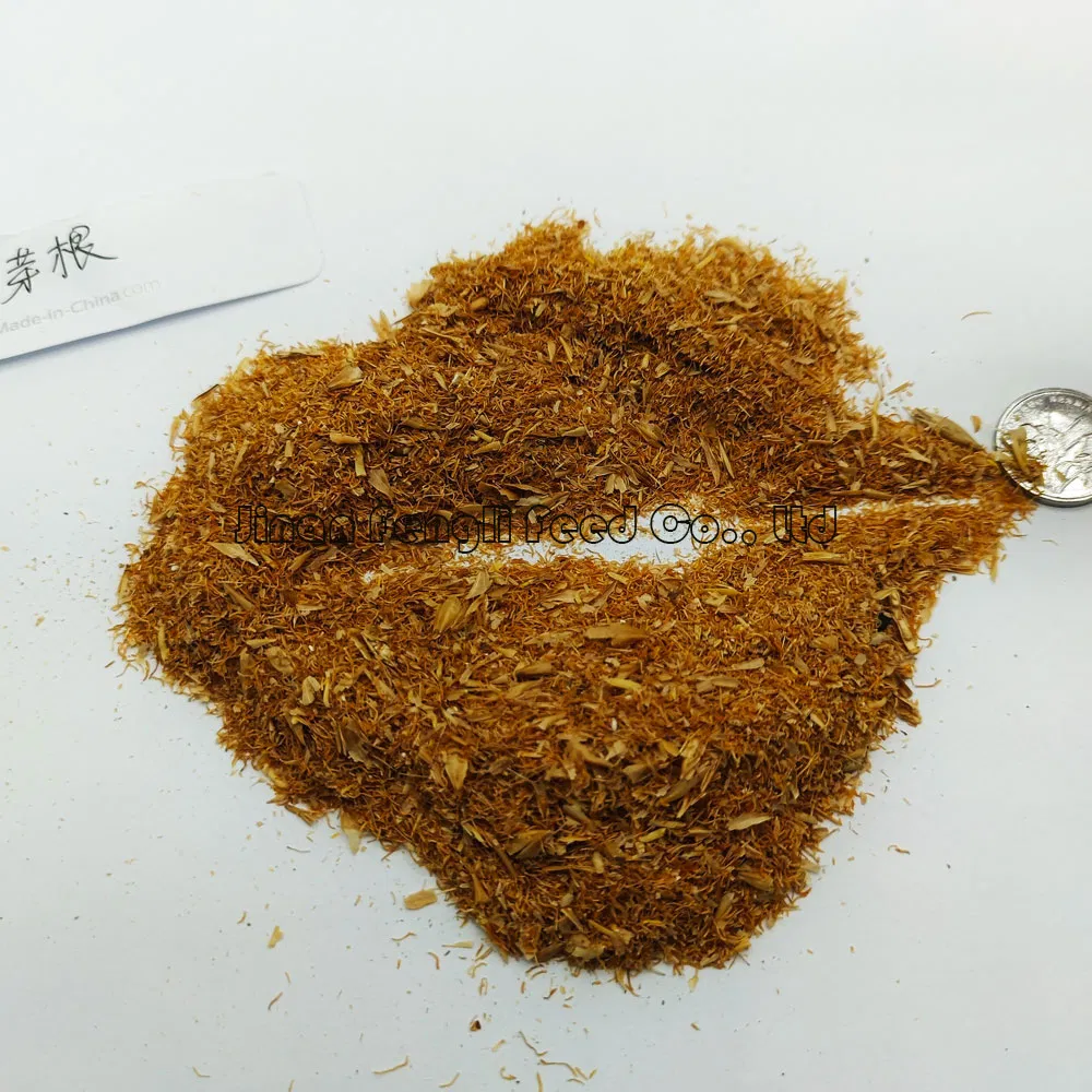 Fresh Rice Bran, Natural Rice Husk Powder, Farmhouse Produced Feed for Chickens, Ducks, Geese, Pigs, Fish, Animal Feed