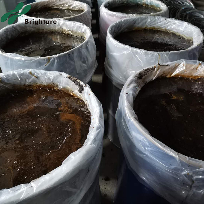 High-Palatability Squid Liver Paste for Aquafeed, Promoting Feeding and Improving Efficiency Sea Food Animal Feed Premix