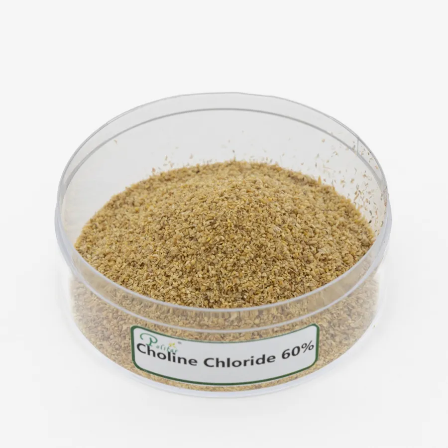Choline Chloride 50%