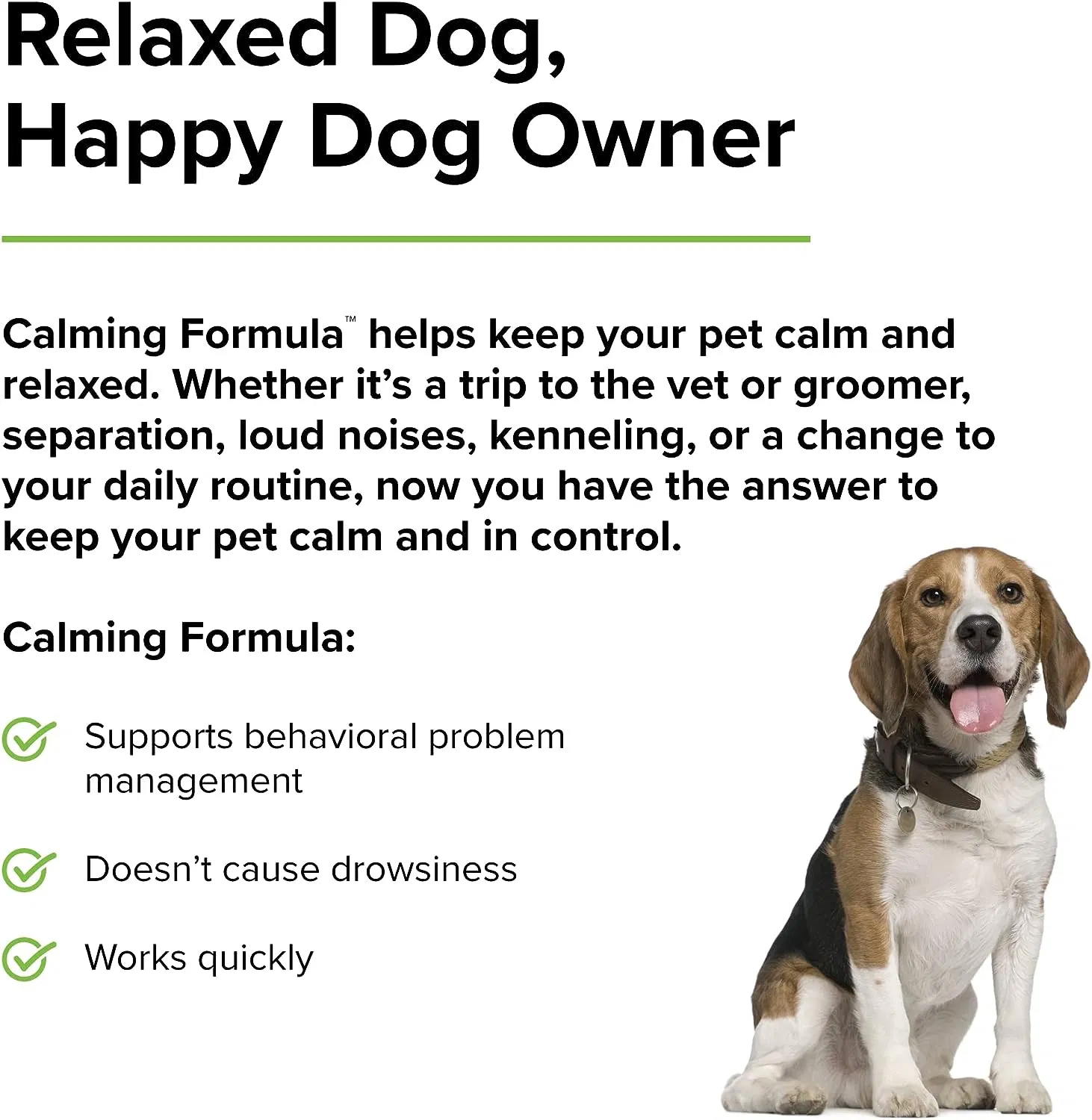 Customized Chewable Treats for Pet Relaxation and Comfort