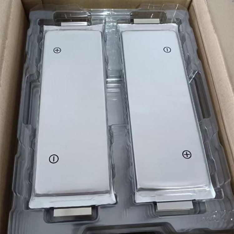 Pouch cell modular protective packing