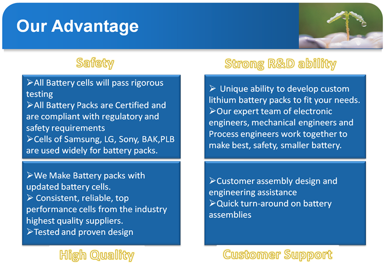 Why Choose Us Advantages