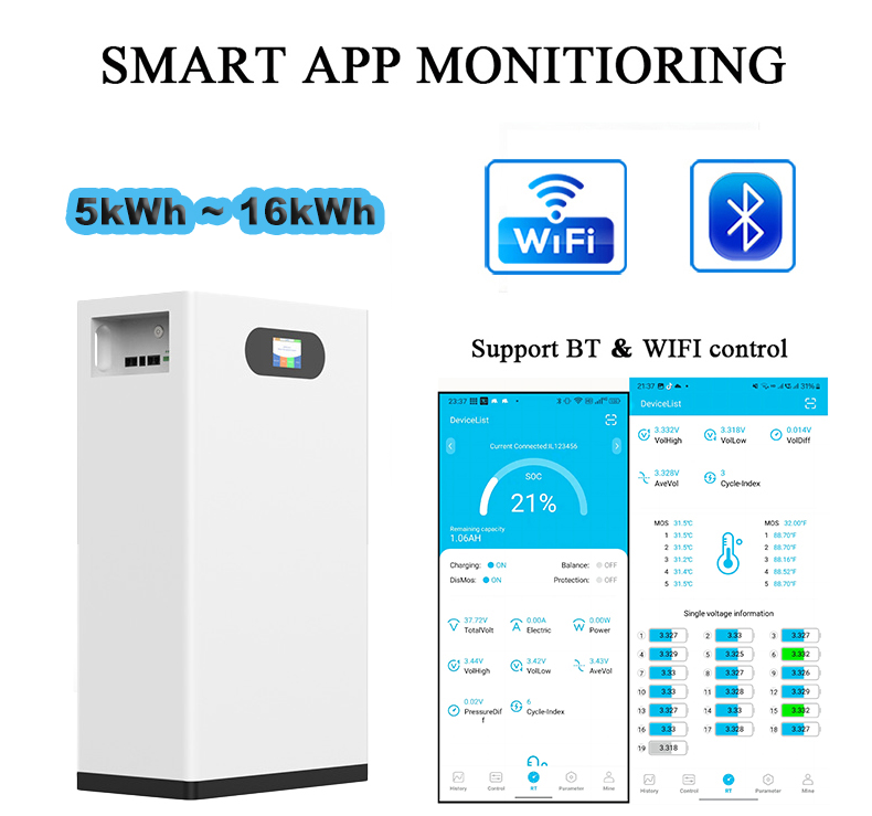 For 51.2V Split Solar Battery Energy Storage 100Ah 200Ah 300Ah 5-30kWh Wall-Mounted LiFePO4 Lithium Battery CAN