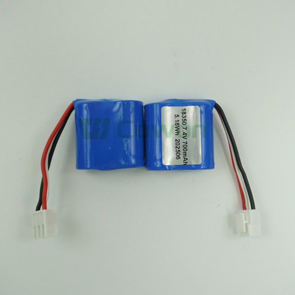 Battery cells detailed view 2