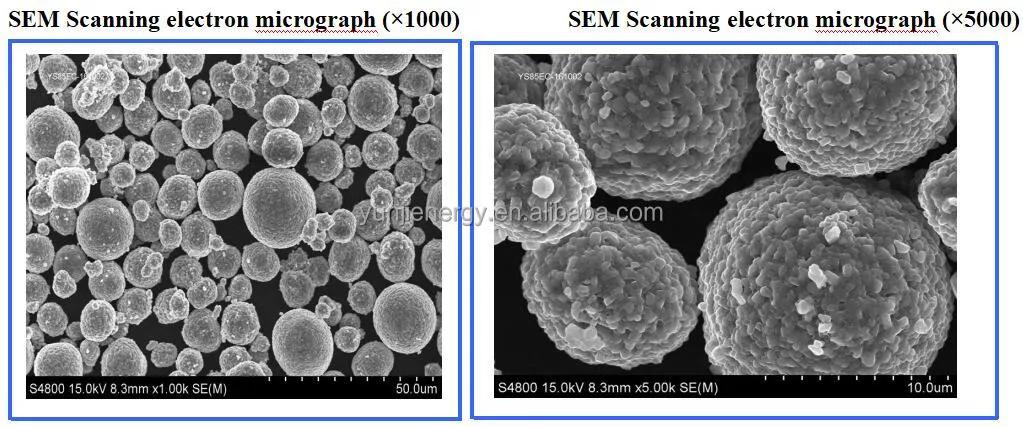 NMC Microstructure SEM