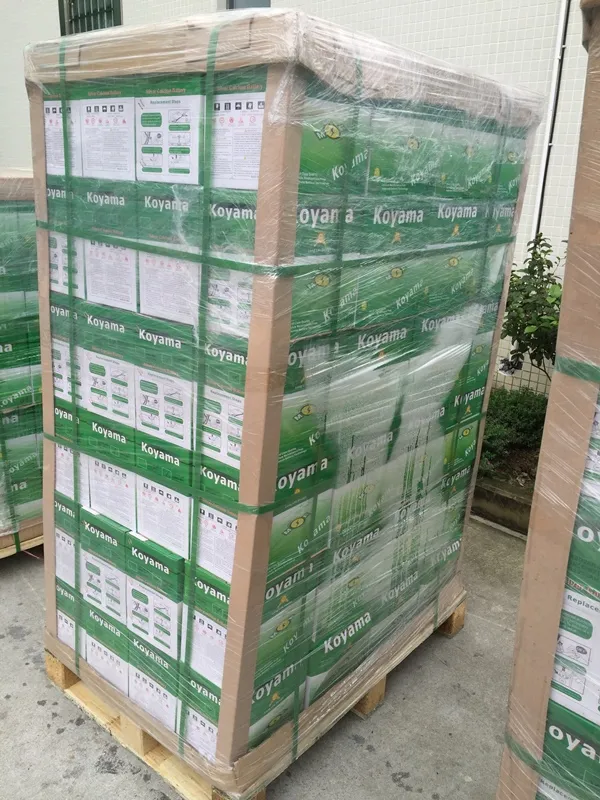 Packaging Setup 1