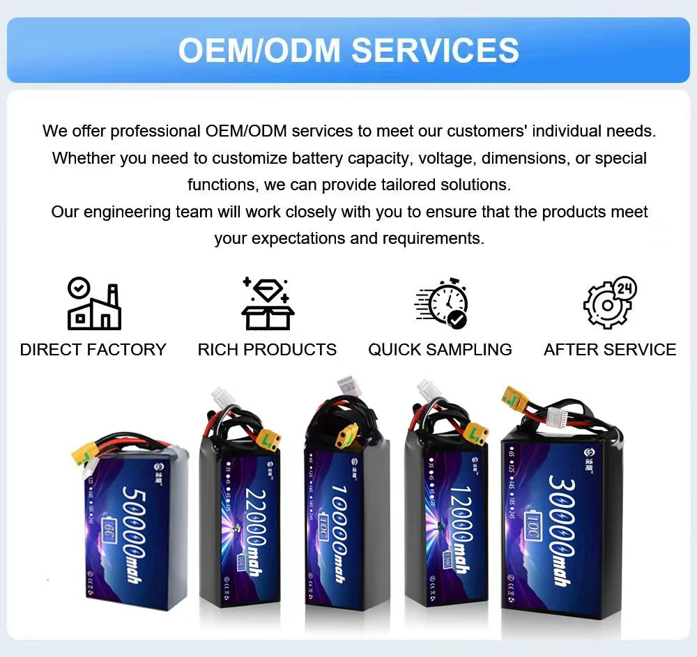 Lithium Ion Battery Pack