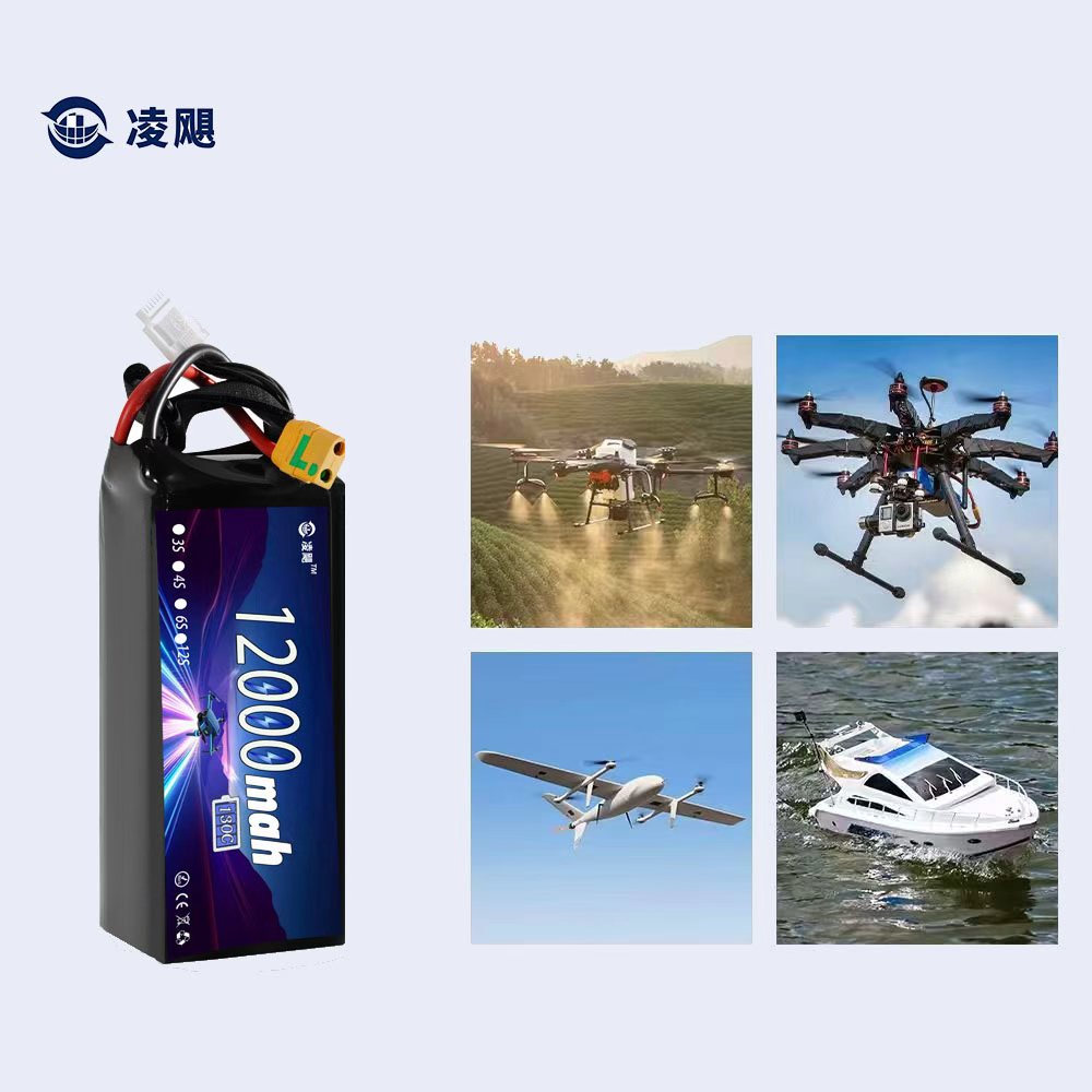Lithium Ion Battery Pack