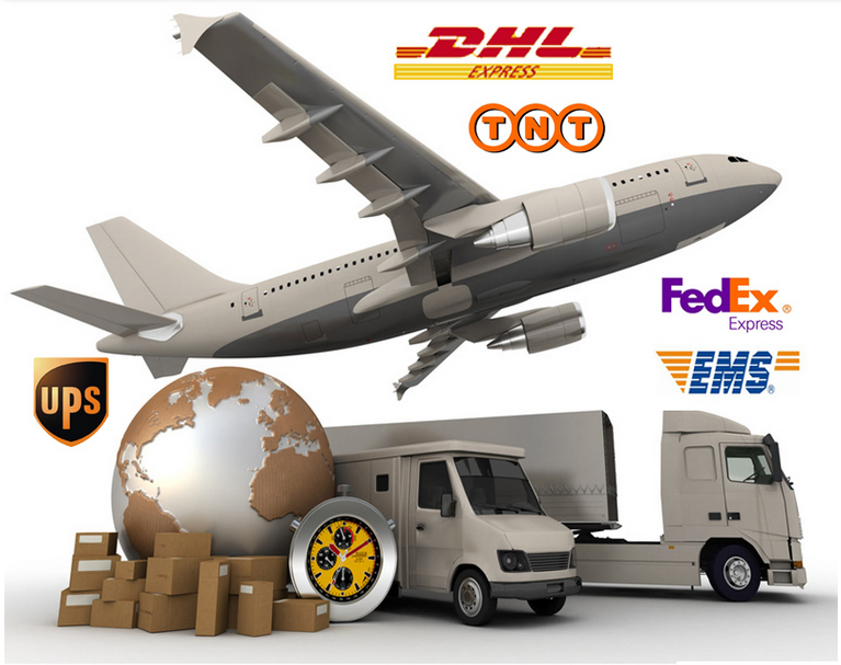 Logistics and Inspection