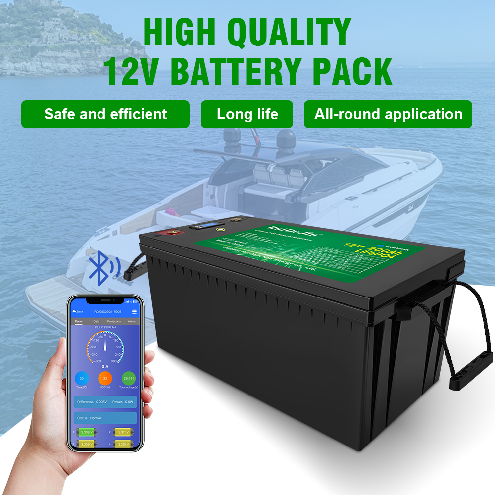 12V 20Ah 50Ah 100Ah 200Ah 300Ah 400Ah Smart BMS Waterproof IP67 Grade A Cell LifePo4 LFP Battery Pack Lithium Solar Batteries