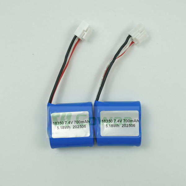 Battery cells detailed view 1