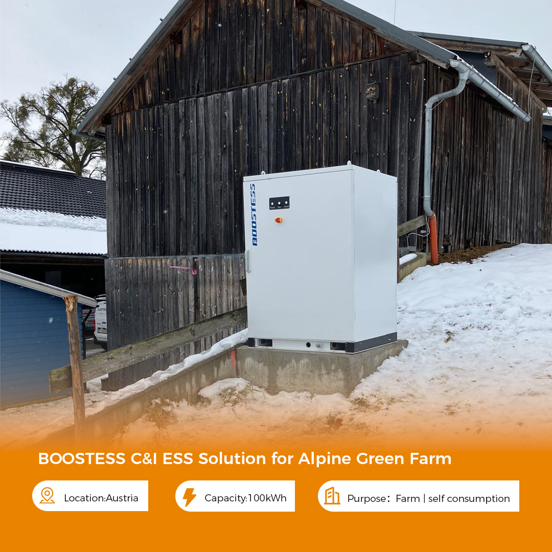 Bess Container Battery 100kWh 241kWh 261kWh ESS Commercial Solar Panels System Industrial Grade A Lithium Ion Battery Storage