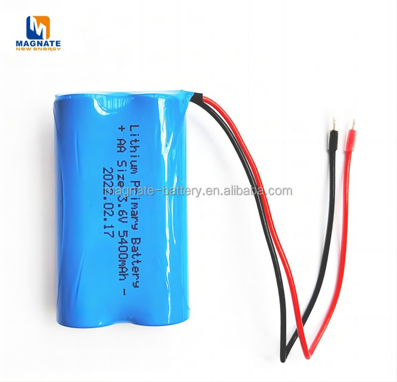 ER14505-2P High Energy Bobbin Type Li-SOCl2 Battery 3.6V 5400mAh Lithium Thionyl Chloride Battery Pack UL1007 Home Appliances