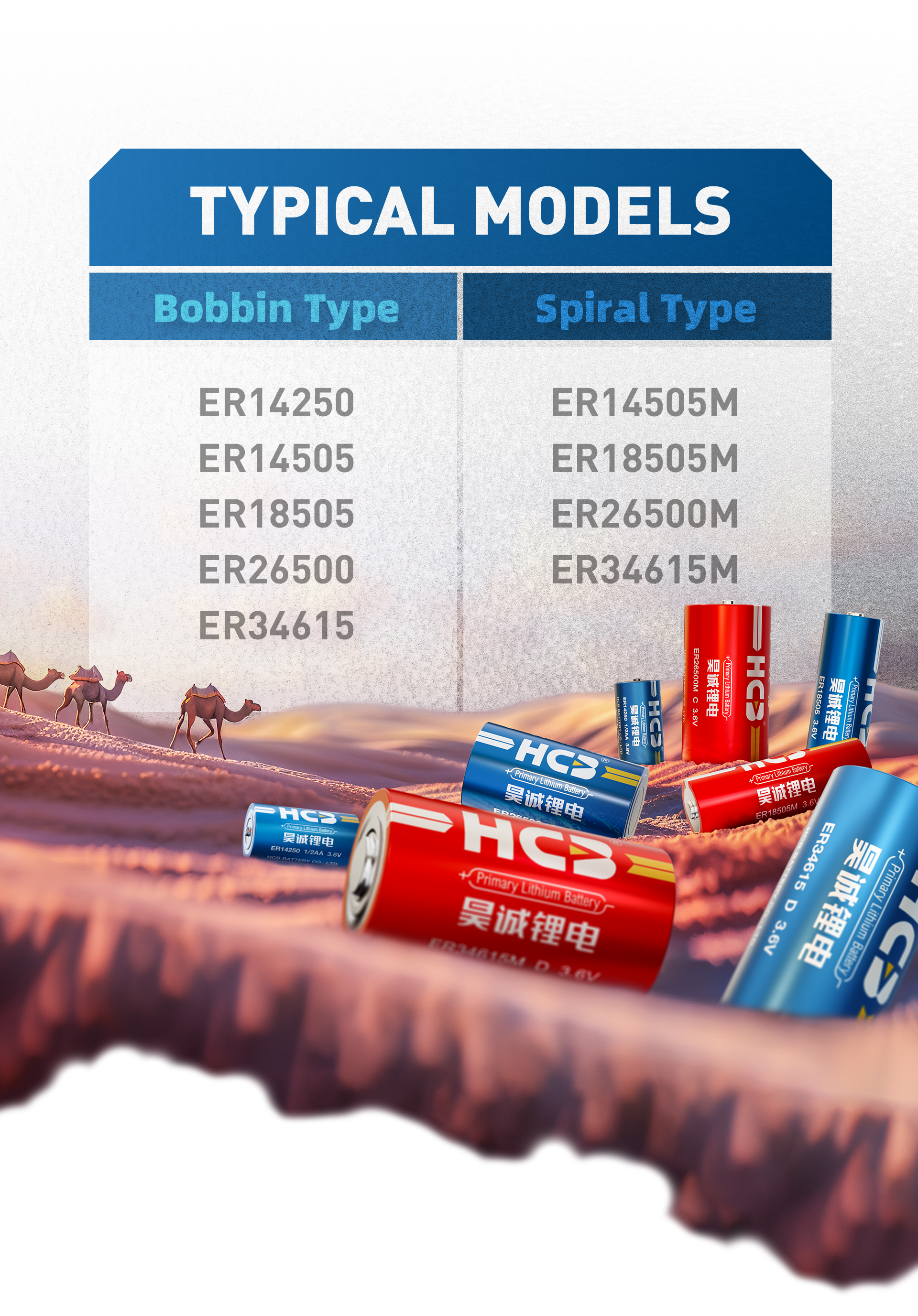 HCB Non-Rechargeable Long Life 3600mAh 3.6V ER17505 a Size Lithium Thionyl Chloride Battery Brands