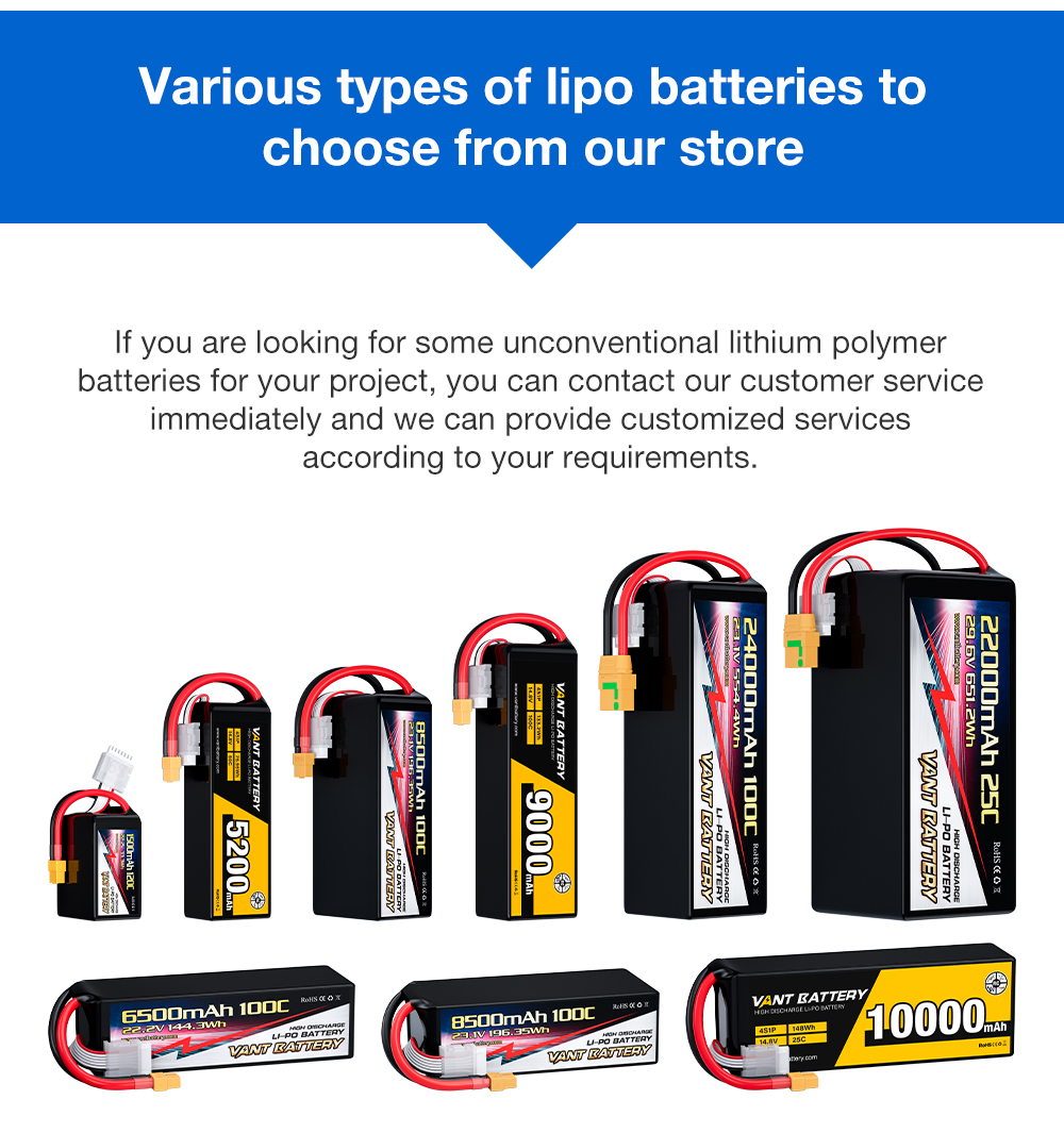 VANT Battery Details