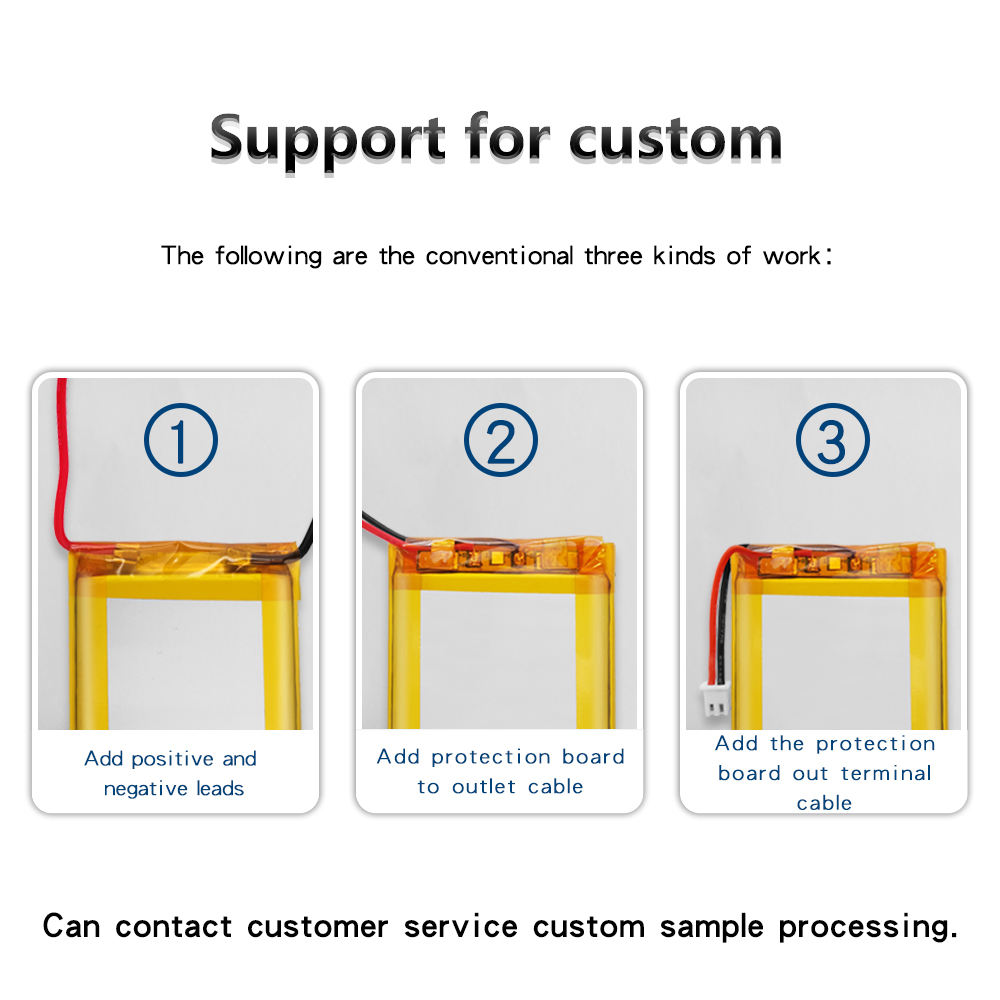 Custom Lead Wire & PCM Assembly