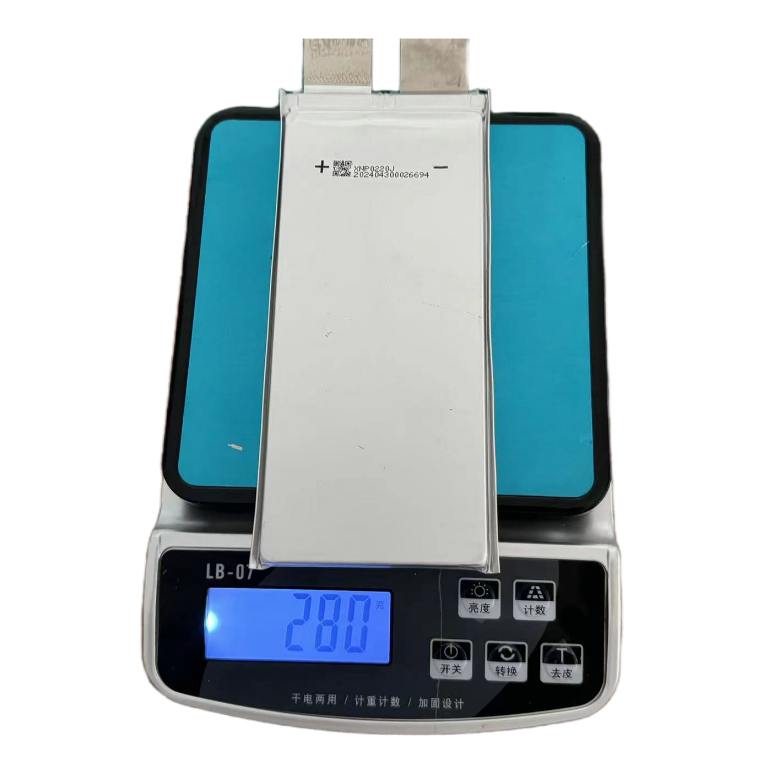 Solid State Pouch Cell Details 1