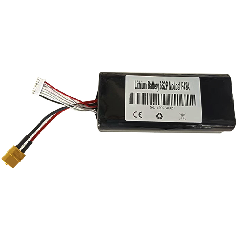 Molicel P42A 6S2P Pack Alternative Profile