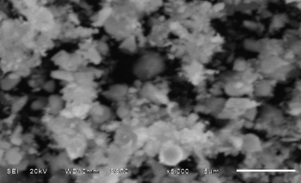 LLZTO Solid State Electrolyte SEM Image 1