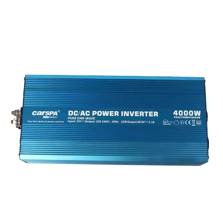Single Output DC/AC Inverters P4000 Solar Power Inverter with Soft Start 24v 220v 4000W Pure Sine Wave