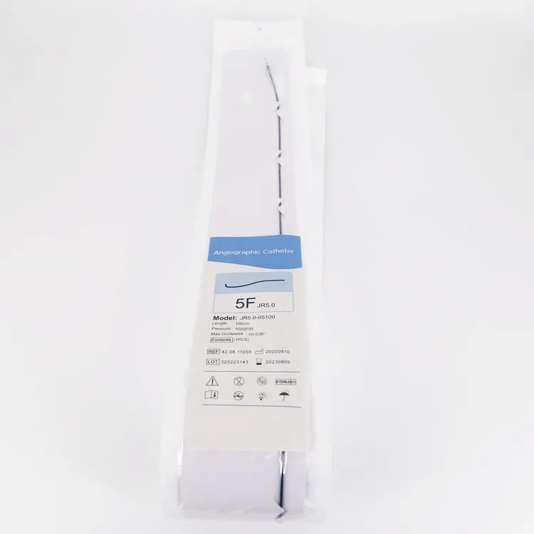 Angiography Catheter Detail 1