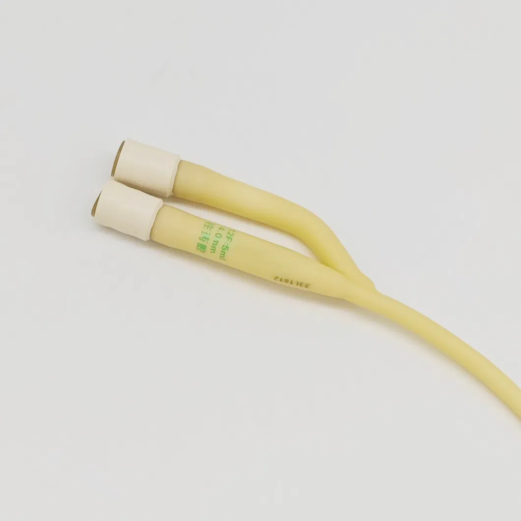 Uterine Catheter View 3