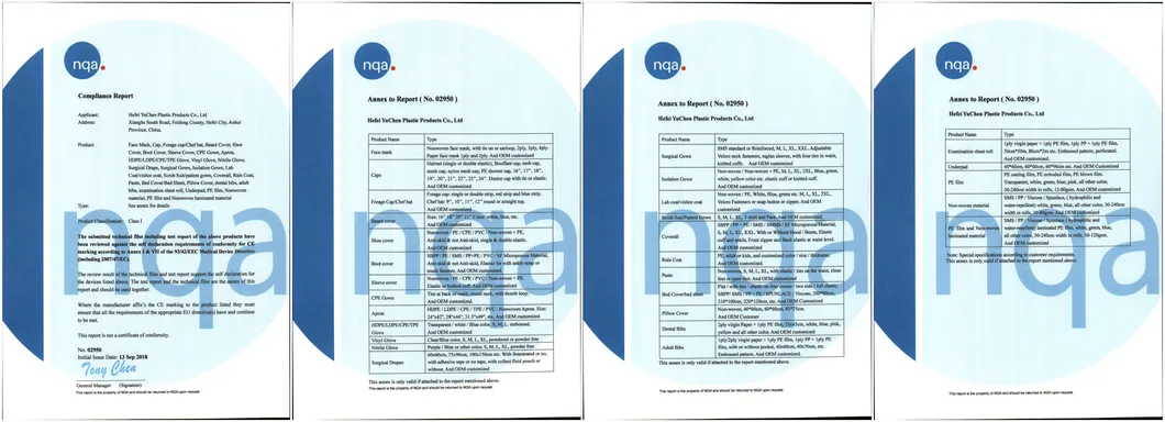 CE ISO Certificate 1