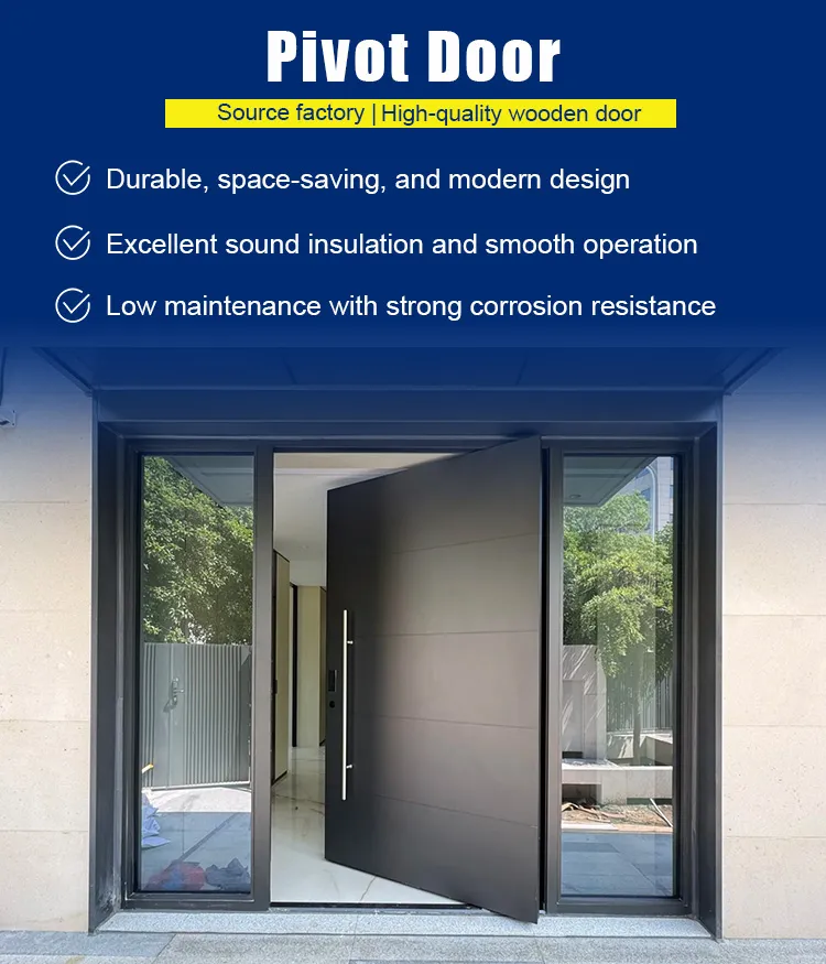 Pivot Door Detail 2