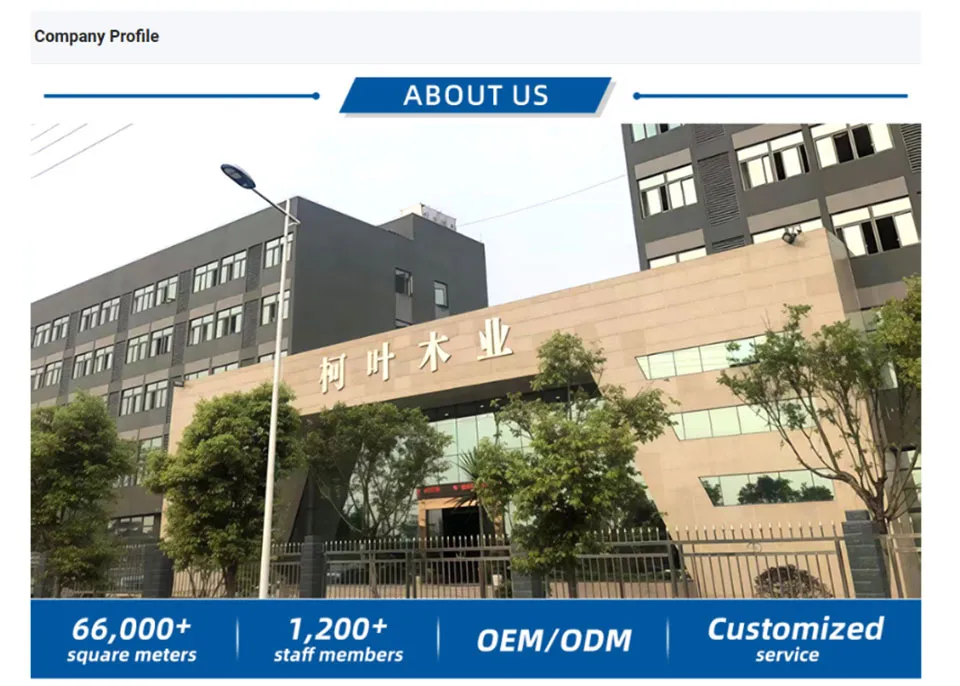 Company Overview