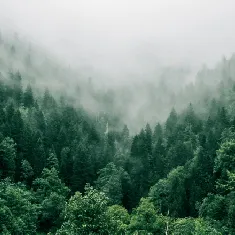 موارد متجددة