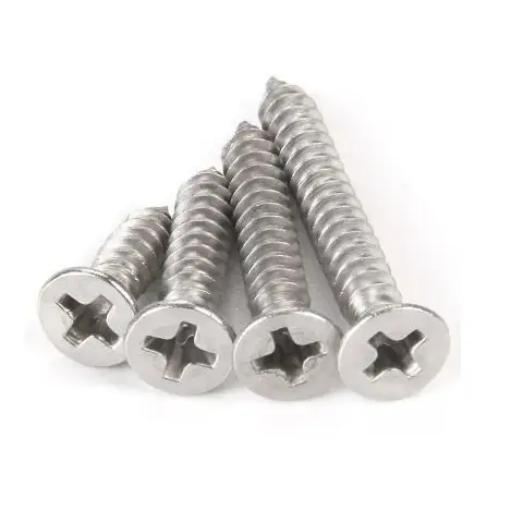 Countersunk self tapping screws (6)rht